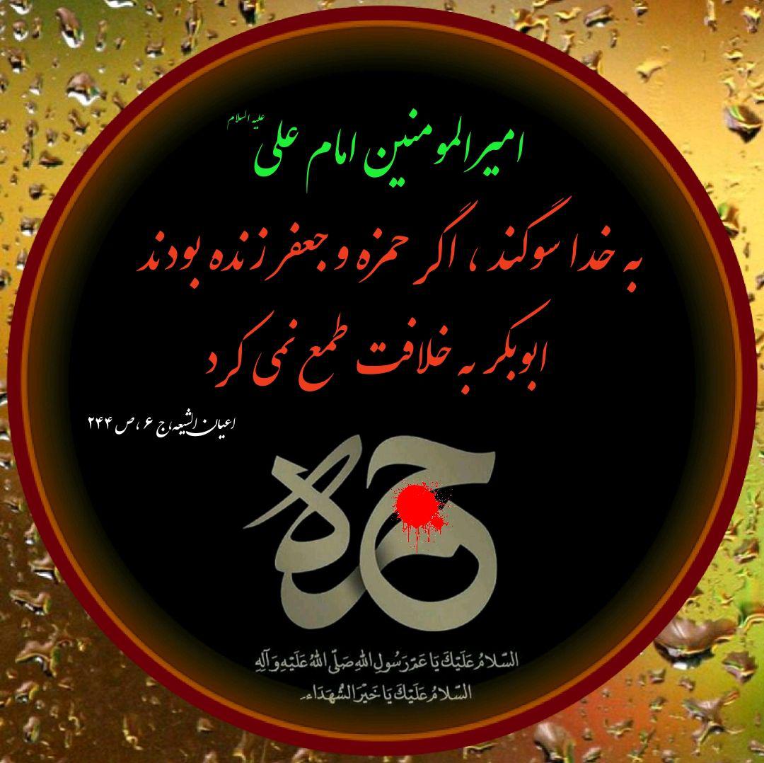 ضیاءالصالحین