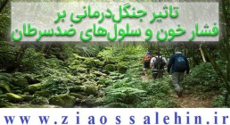 تاثیر جنگلدرمانی بر فشار خون و سلولهای ضدسرطان تاثیر جنگلدرمانی بر فشار خون و سلولهای ضدسرطان