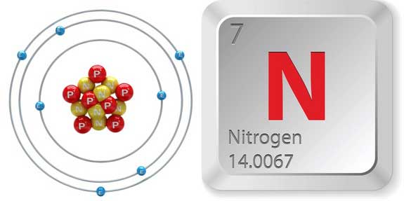 نیتروژن : ضروری برای حیات