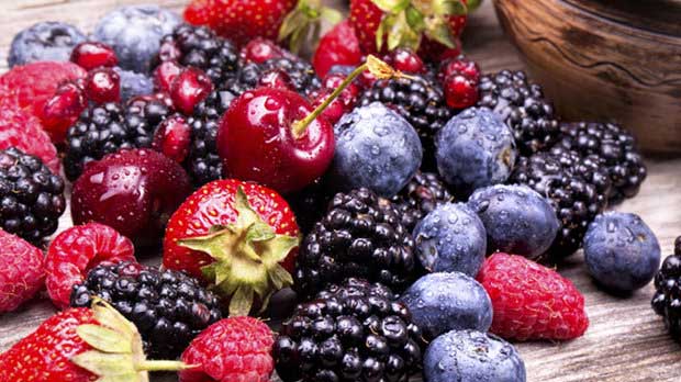 خانواده توت ها , بیماران دیابتی , رژیم غذایی مناسب