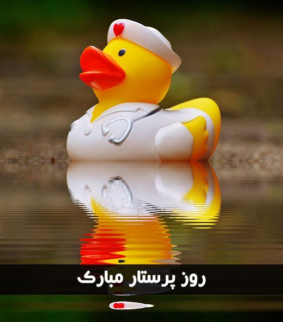جدیدترین عکسهای تبریک ولادت حضرت زینب و روز پرستار