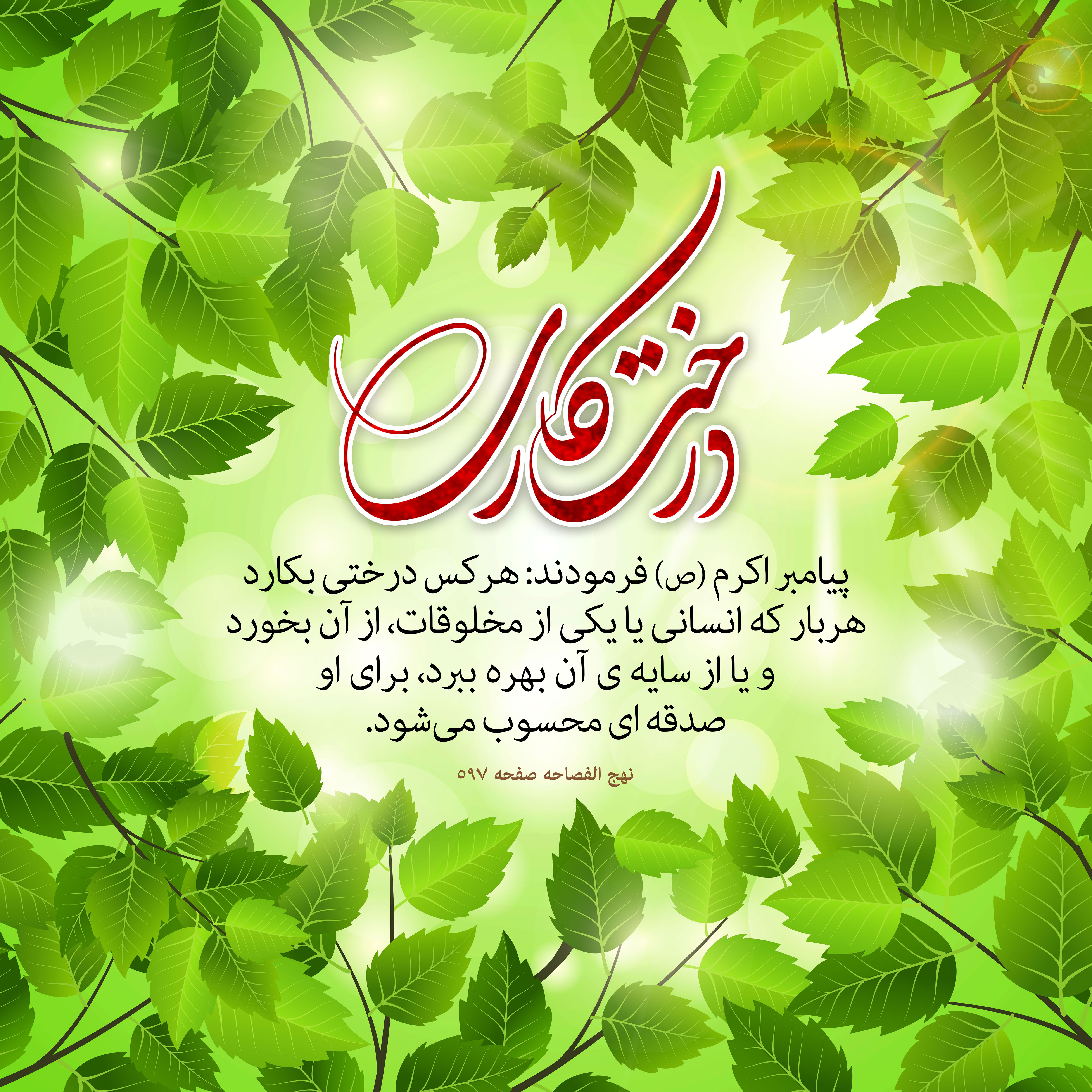 تصویر همه درخت بکاریم