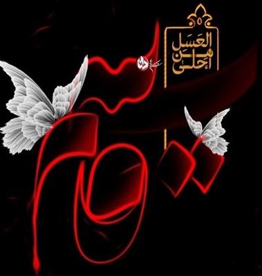 تصاویر روز ششم محرم : قاسم بن الحسن علیهماالسلام