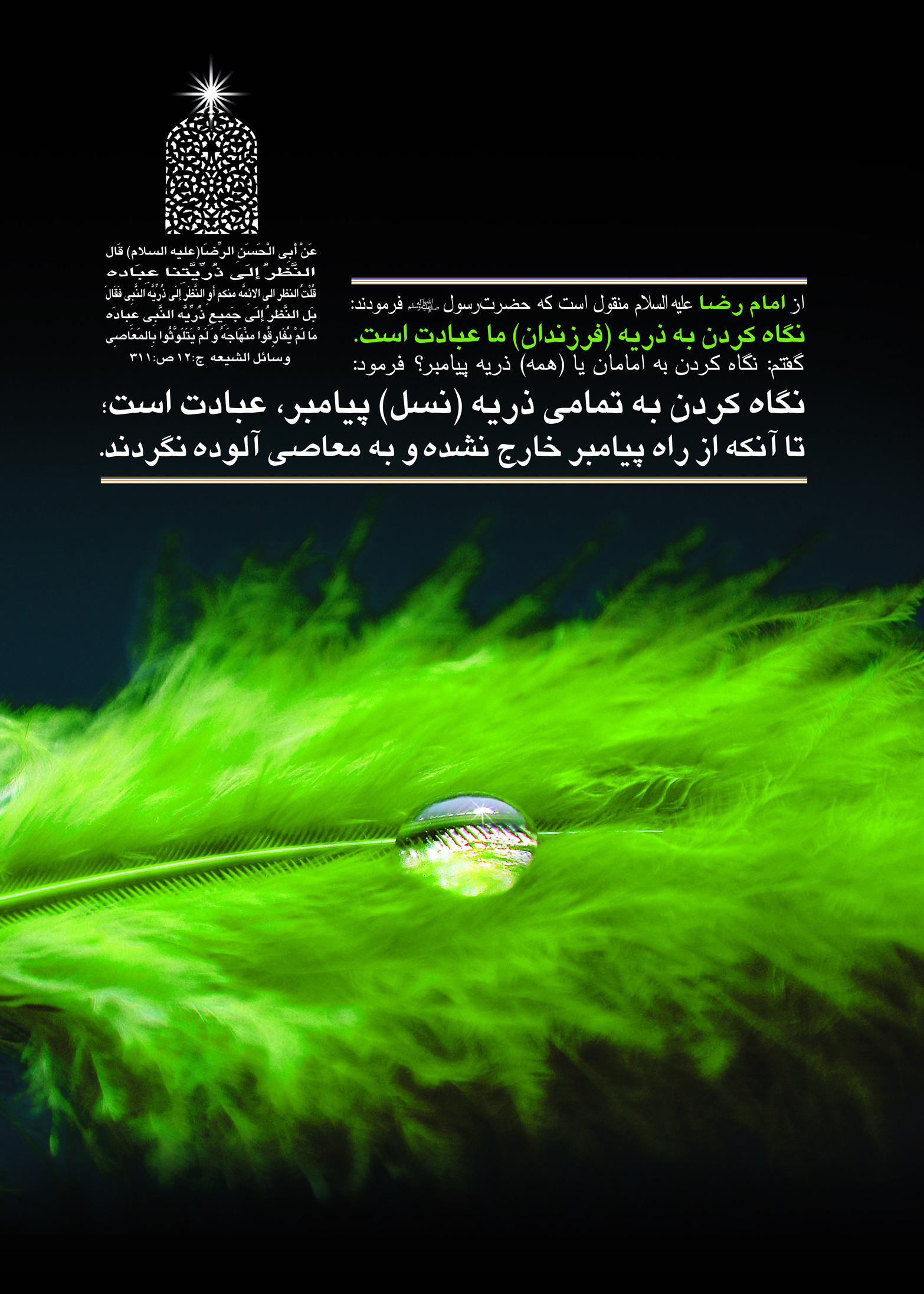 امام رضا علیه السلام