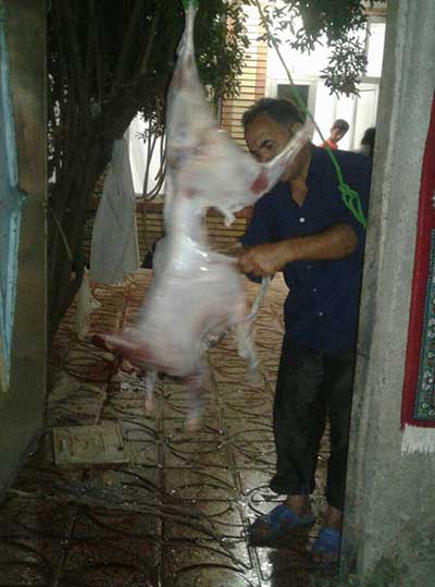 توزیع گوشت قربانی در شهرستان پارس آباد