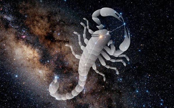 صورت فلکی عقرب یا کژدم (scorpius)