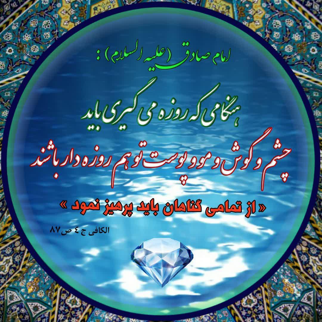 روزه حقیقی + مجموع آواتار | ضیاءالصالحین