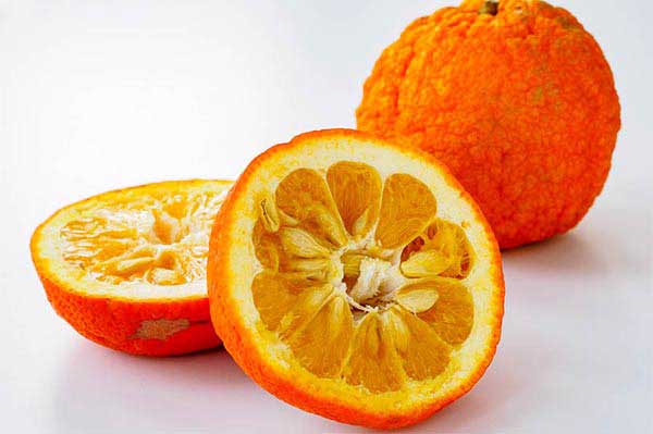 تداخلات دارویی نارنج