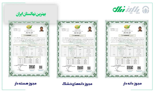 از کجا نهال بخریم؟