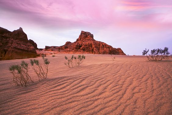 بیابان گبی [The Gobi Desert]