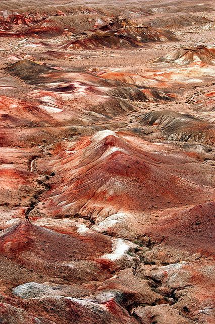 بیابان گبی [The Gobi Desert]