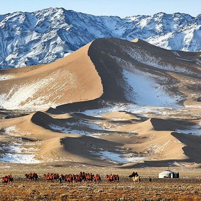 بیابان گبی [The Gobi Desert]