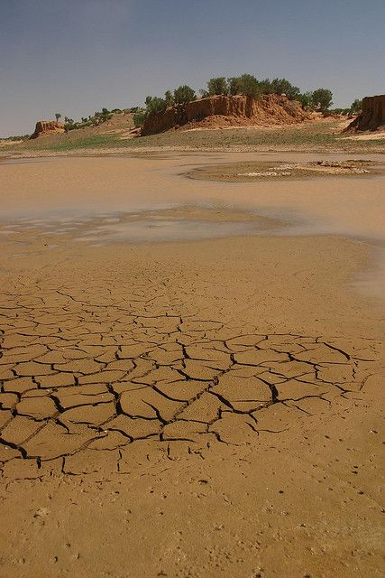 بیابان گبی [The Gobi Desert]