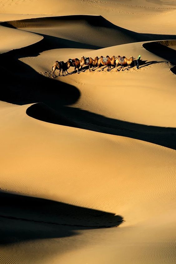 بیابان گبی [The Gobi Desert]