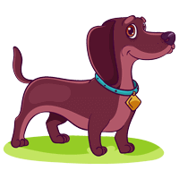 متولدین سال سگ