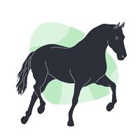 متولدین سال اسب