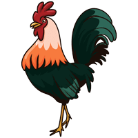 متولدین سال خروس