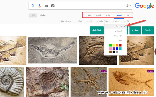 ﻓﺴﻴﻞ ﻓﺴﻴﻞ