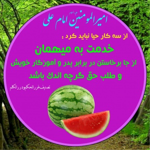 ضیاءالصالحین