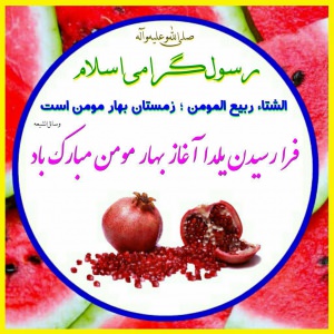 ضیاءالصالحین