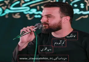نماهنگ«کم آوردم»با نوای وحید شکری