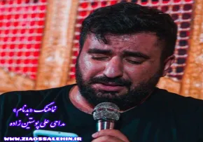 نماهنگ «بدنام» با نوای علی پوستین دوز