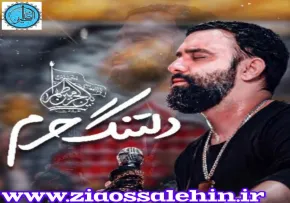 نماهنگ«دلتنگ حرم» با نوای جواد مقدم (کلیپ،صوت، متن) / ویژه ی اربعین