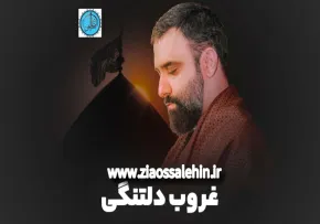 نماهنگ «غروب دلتنگی» با نوای کربلایی جواد مقدم