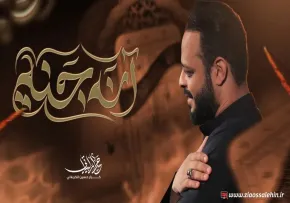 مداحی «انه جنة» | حيدر البياتي | ایام فاطمیه