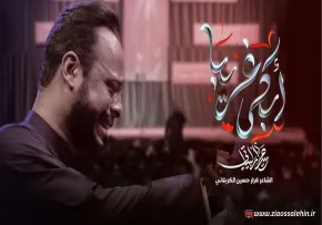 مداحی «ابكي غريبا» | حيدر البياتي | ایام فاطمیه