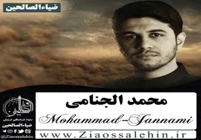 لا اهل لا ناس | محمد الجنامی | وفات حضرت زینب