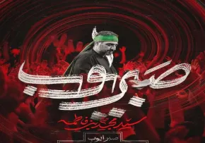 نماهنگ «صبر ایوب» از سید مجید بنی فاطمه | مناجات سوزناک با امام حسین علیه السلام
