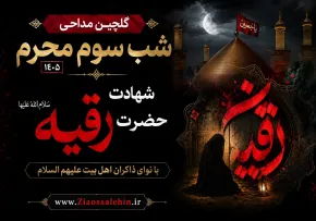 گلچین مداحی شب سوم محرم ۱۴۰۵ | شهادت حضرت رقیه با نوای ذاکران اهل بیت