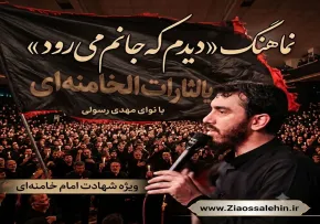 نماهنگ «دیدم که جانم می‌رود» با نوای مهدی رسولی | ویژه شهادت امام خامنه‌ای