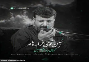 نماهنگ نبین توی خرابه هام - سید امیر حسینی | شهادت حضرت رقیه سلام الله علیها