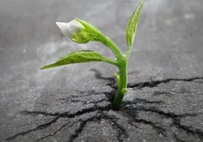 خرق عادات