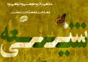 ارزش شیعه و نشانه های آن