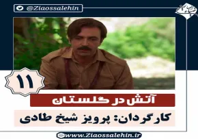 سریال آتش در گلستان قسمت 11 , سریال آتش در گلستان قسمت یازدهم