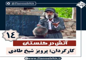 سریال آتش در گلستان قسمت 14 , سریال آتش در گلستان قسمت چهاردهم