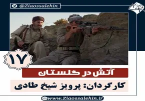 سریال آتش در گلستان قسمت 17 , سریال آتش در گلستان قسمت هفدهم