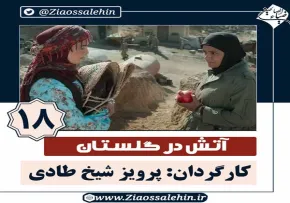 سریال آتش در گلستان قسمت 18 , سریال آتش در گلستان قسمت هجدهم