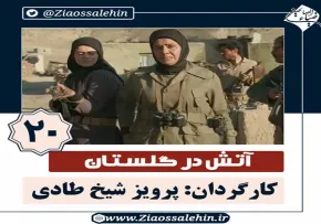 سریال آتش در گلستان قسمت 20 , سریال آتش در گلستان قسمت بیستم