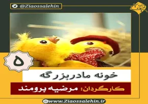 دانلود سریال کارتونی خونه مادربزرگه - قسمت 5 پنجم