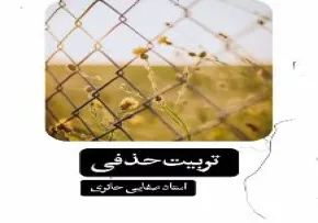 آیا با تربیت حذفی میشه نفس را تربیت کرد؟ استاد علی صفایی حائری