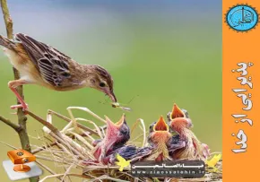 دانلود پاورپوینت داستانی پذیرایی از خدا