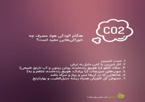 تغذیه مناسب برای مقابله با آلودگی هوا