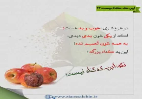 گناه و عواقب آن - استاد شجاعی / جلسه 22