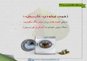 گناه و عواقب آن - استاد شجاعی / جلسه 24