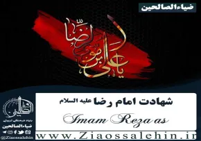 سرود کبوتر صحن رضا/ شهادت امام رضا علیه السلام