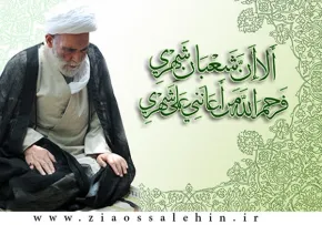 آیت الله آقا مجتبی تهرانی(ره)